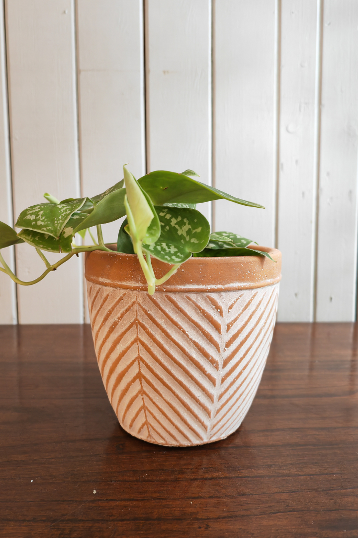 Cache-pot "Lomaso"