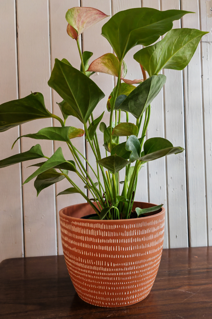 Cache-pot Polystone - petits traits