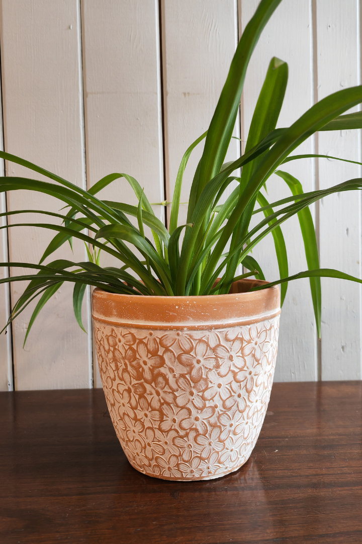 Cache-pot "Lomaso"