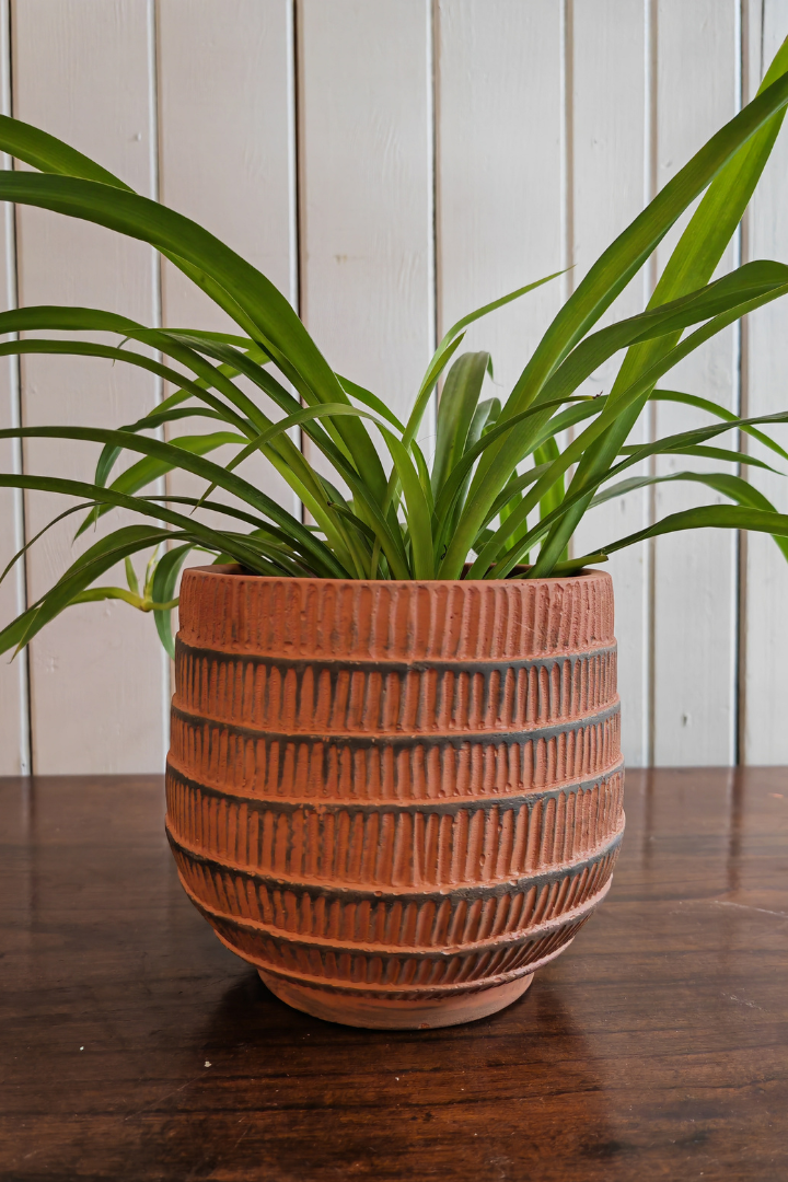 Ceramic pot - Cissane