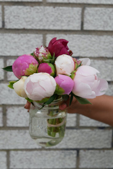 Bouquet of local peonies (florist's choice)