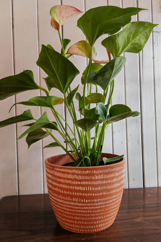 Pot Polystone - orange et blanc