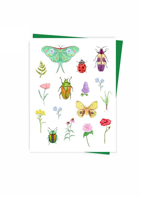 Greeting Card - Bugs