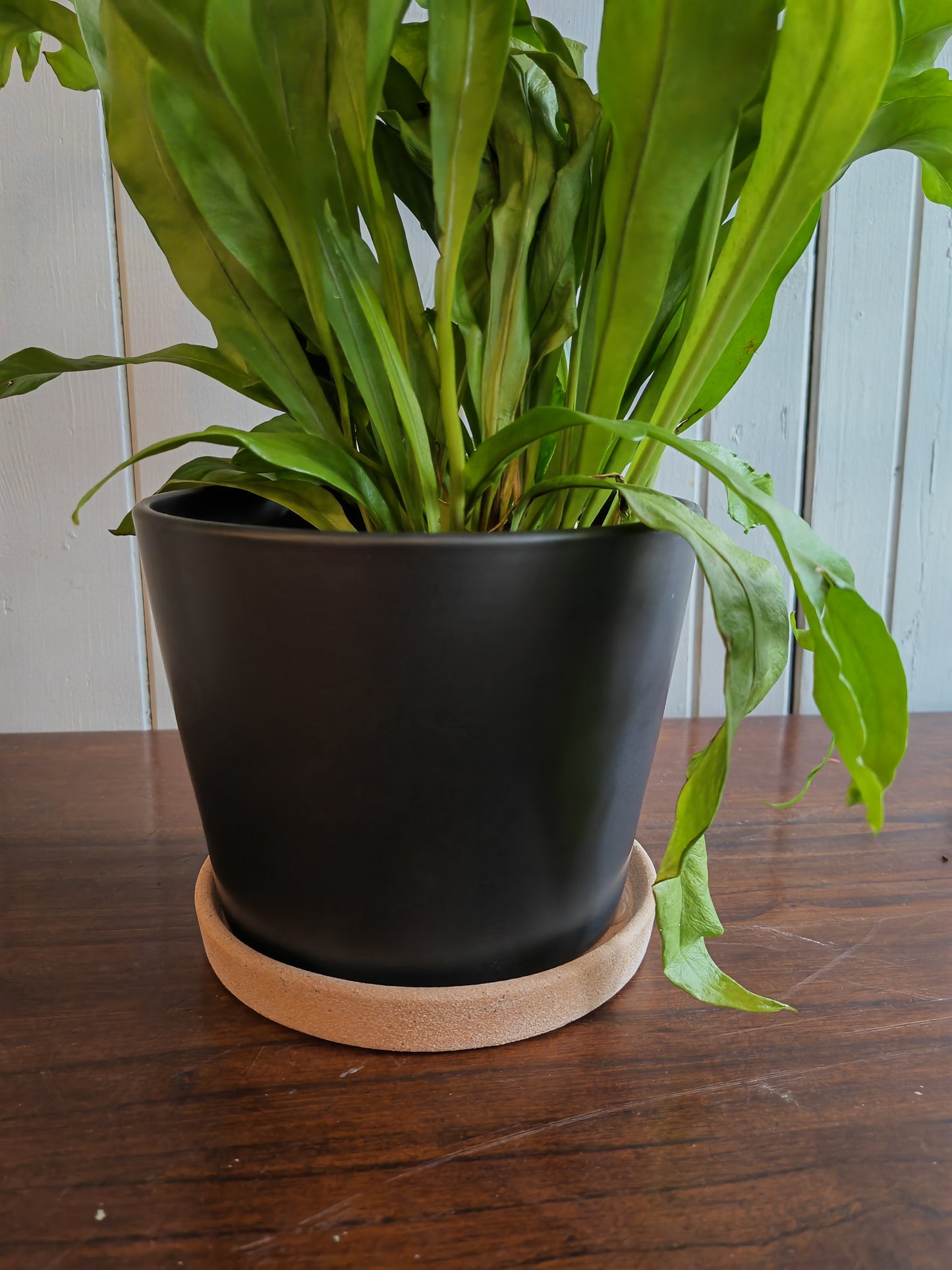 Ceramic pot - Matte black with bowl