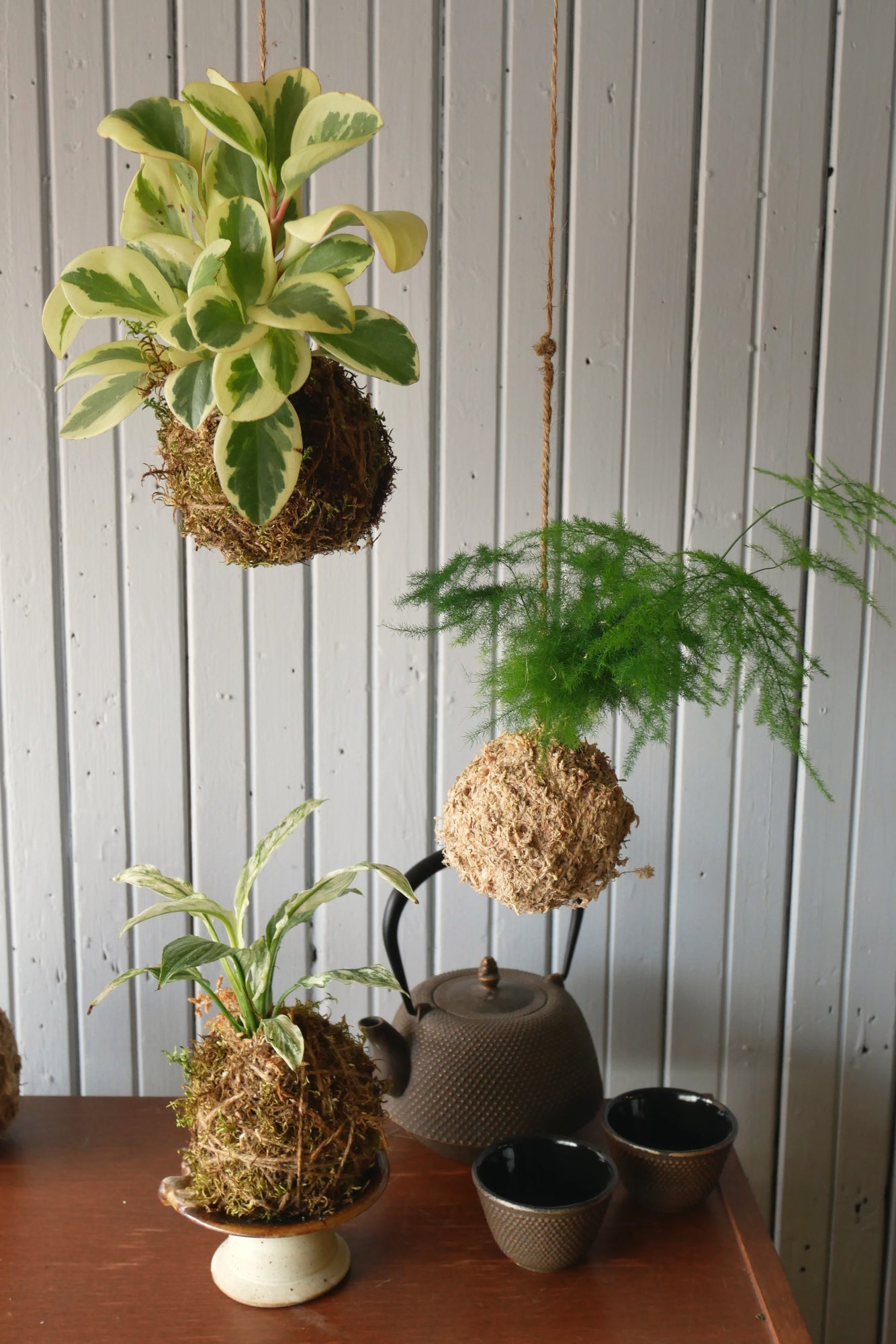 Atelier "Kokedama"