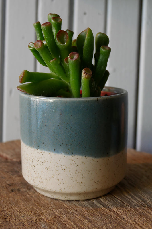 Cache-pot "Miguel"