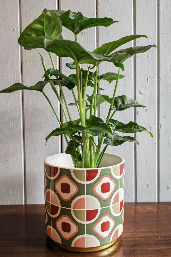 Ceramic pot - Retro