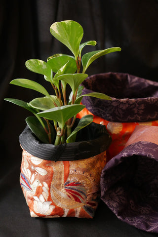 Tasse de thé Xiaogong en verre, cloche japonaise, orchidée fleur
