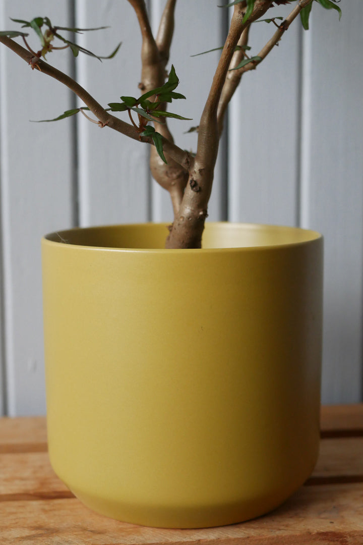 Ceramic pot - Kendall