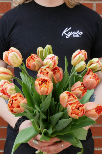 Bouquet of Quebec tulips