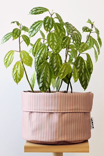 Fabric plant pot - Demain Demain "Zenith"