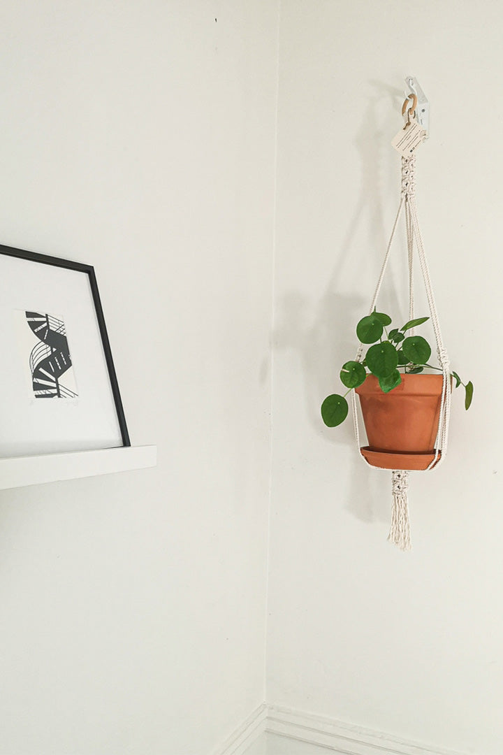 Macramé Planter - Charlie