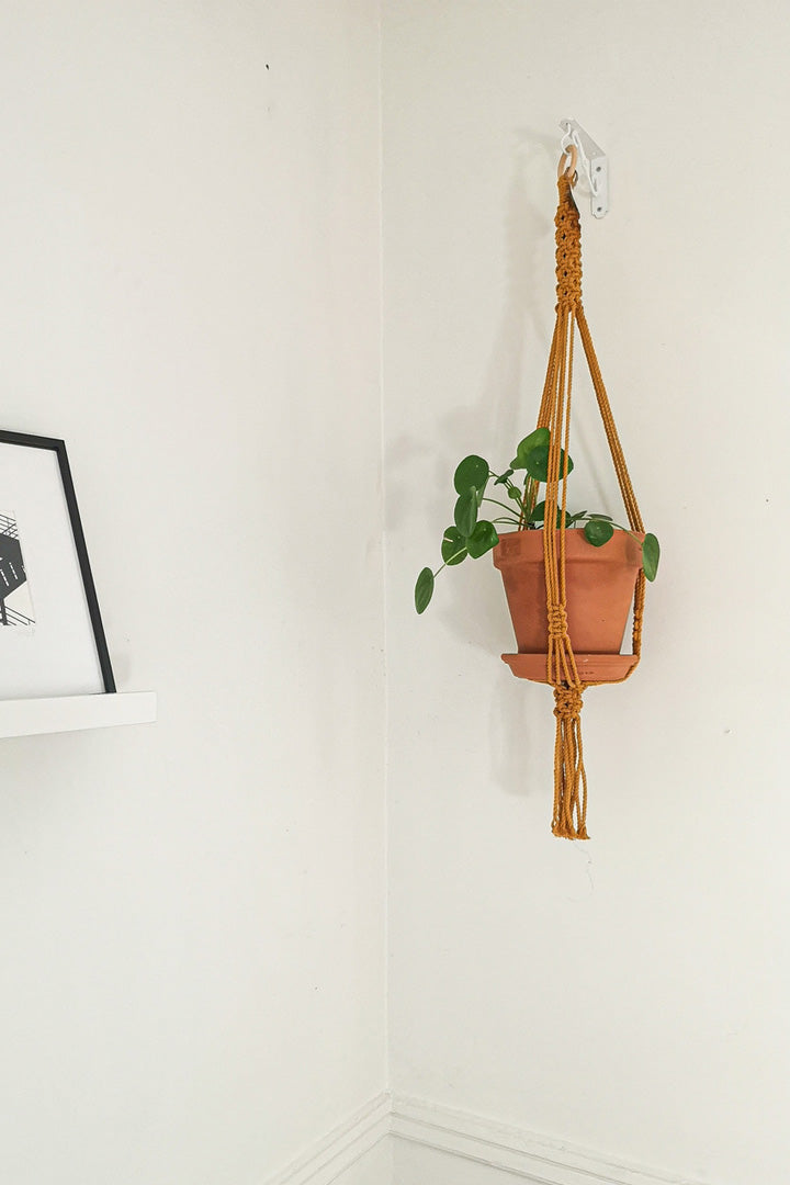 Macramé Planter - Charlie