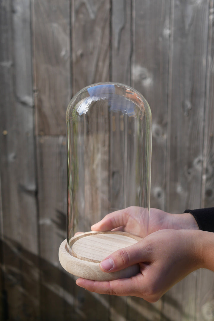 Cloche en verre