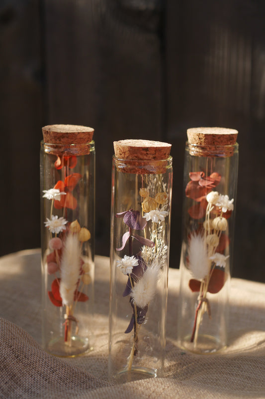 Dried flowers tube “Autumn colors”