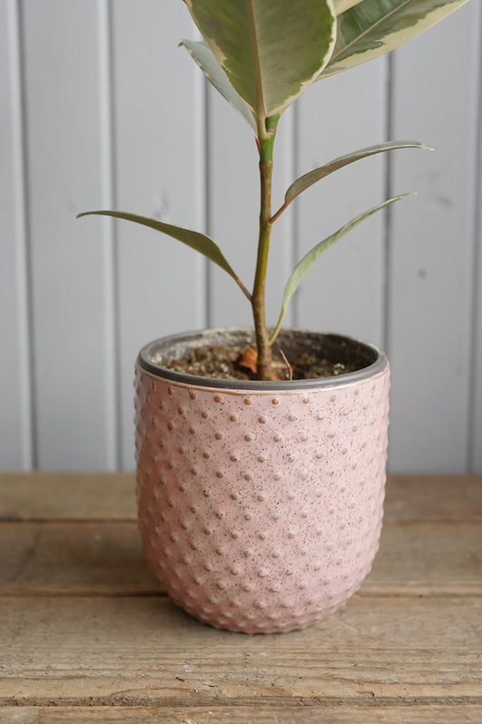 Ceramic pot - Everly