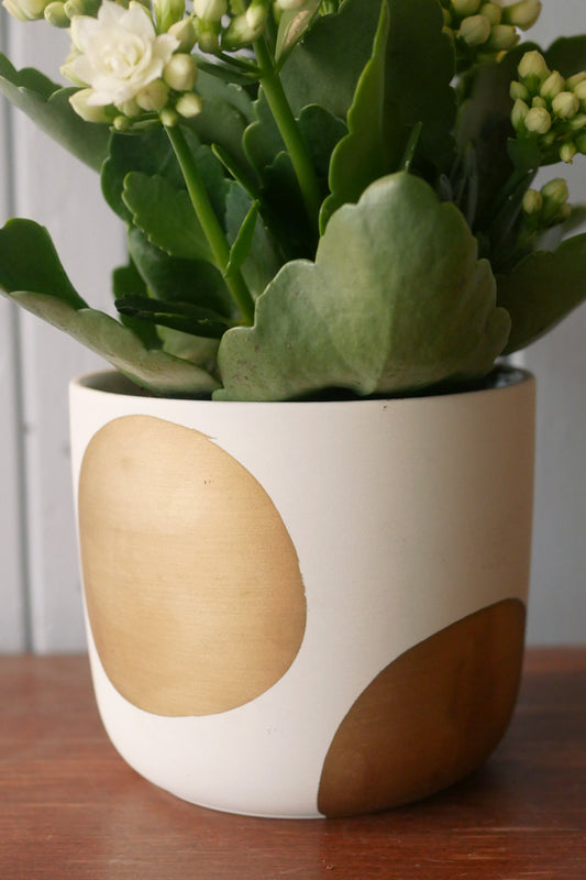 Ceramic pot - Izzy